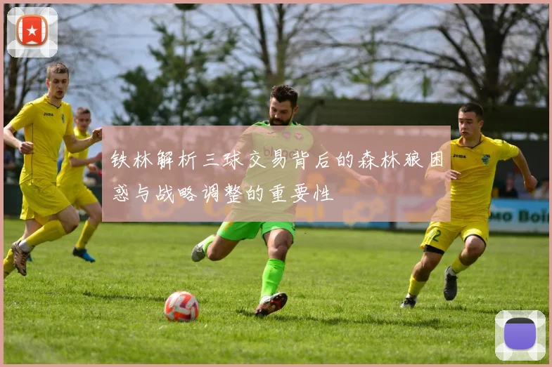 铁林解析三球交易背后的森林狼困惑与战略调整的重要性