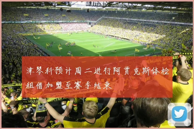 津琴科预计周二进行阿贾克斯体检租借加盟至赛季结束